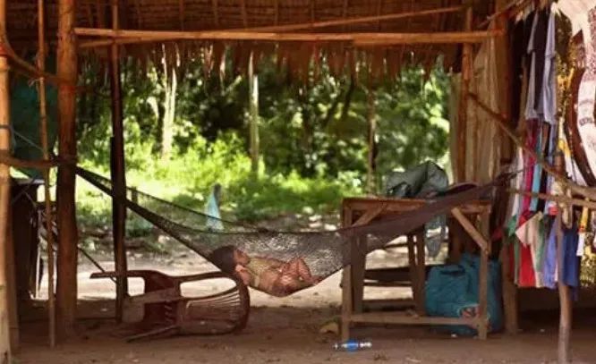 高脚屋|吊床,柬埔寨人的“梦乐园”,如今却......