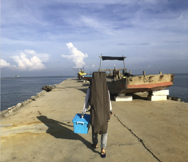 饵料|湛江海钓之旅，土豪表哥买300元活虾当饵料，渔获二十多斤