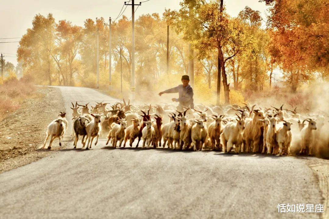 胡杨林|中国最贵的景区,一张门票3500元,外国人进去要交30万