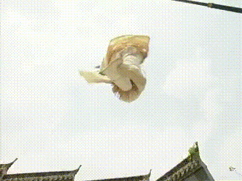 男神|《说英雄谁是英雄》中的雷损，曾经的古装男神，你认出来了吗