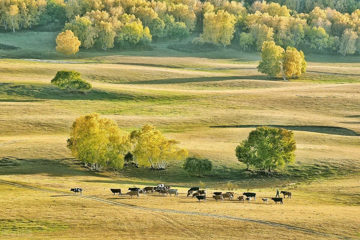|郭进拴|绝美的坝上