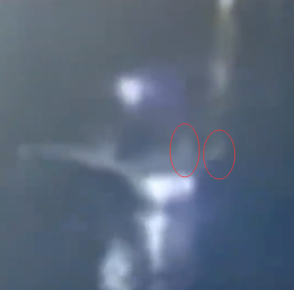 陈乔恩|女星西瓜坠河案疑似现场视频流出，或是被人大力推下船后溺亡