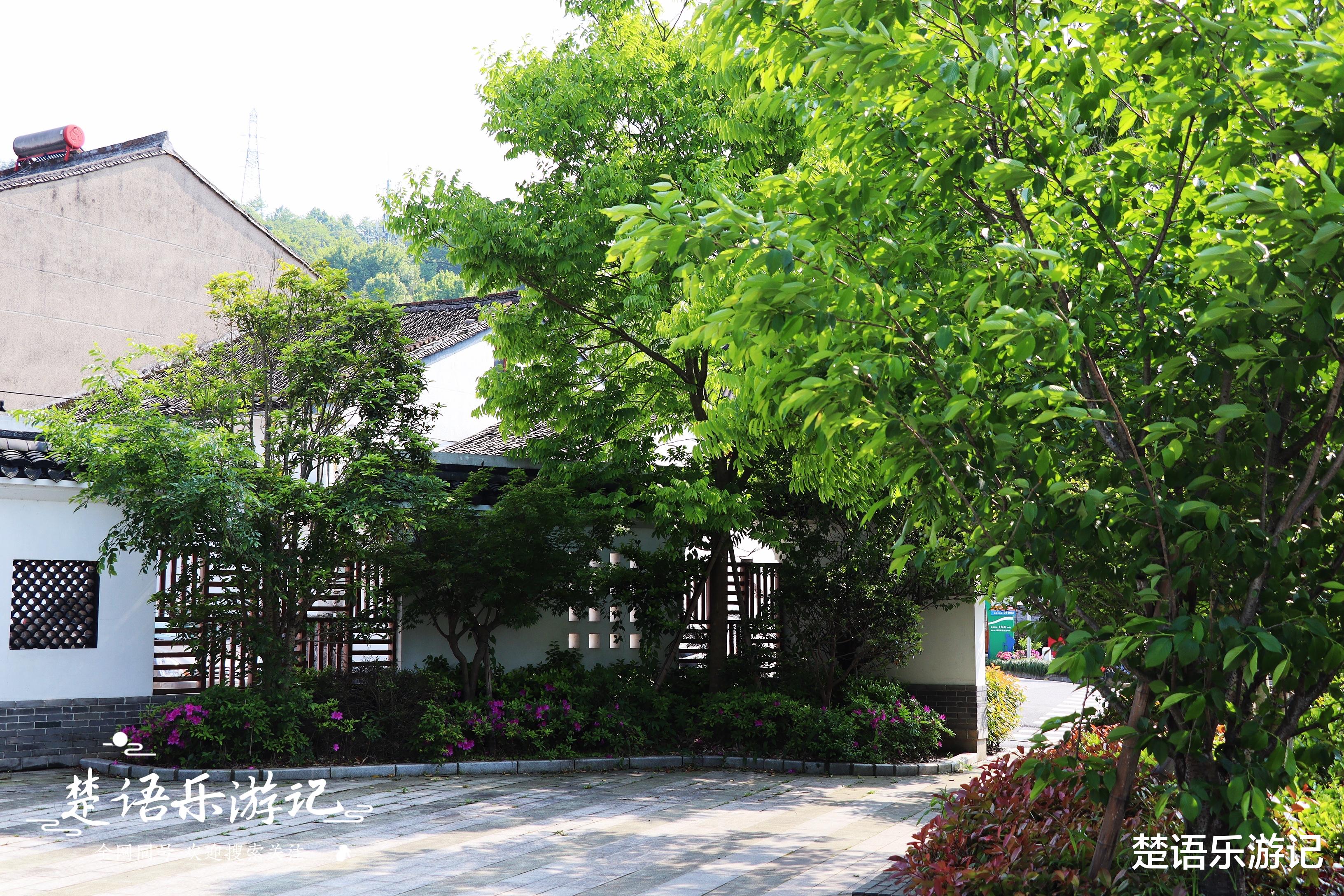 |浙江这个古村不仅历史悠久，竟有两条旅游古道，成为美丽的风景线