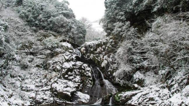 浙江省|浙江“天然氧吧”喜迎冬天第一场雪，俨如天上“广寒宫”