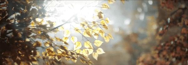 龙岭迷窟|《龙岭迷窟》首映口碑两极:特效精彩、剧情魔改,还能成爆款吗?