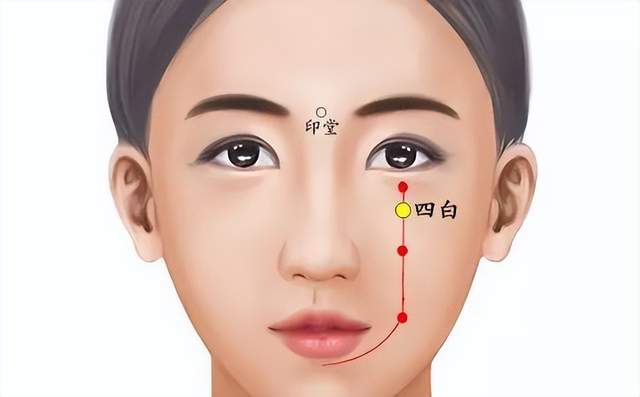 穴位|经络穴位，一日一学——四白，对付眼疾很常用