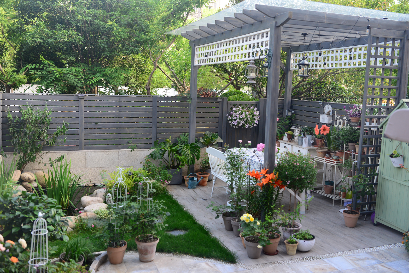 一楼45㎡花园改造,有院子一定要折腾个花园,养花养鱼快乐无比