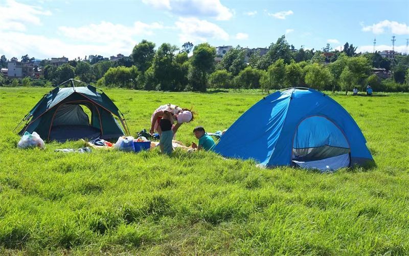 北红村|打卡！南华这片绿色大草甸，太适合露营了