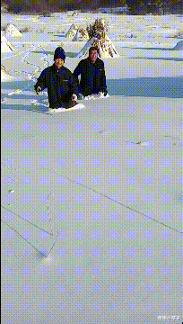 德云社|德云社取消六队演出,演员们将何去何从?