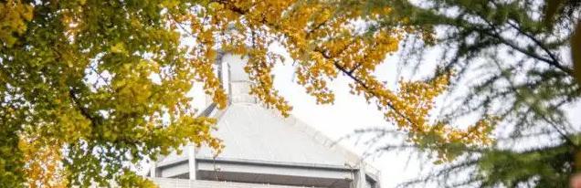 求职|“不行卖烤鸭吧”,顶尖211硕士回老家三个月,找工作碰壁到崩溃