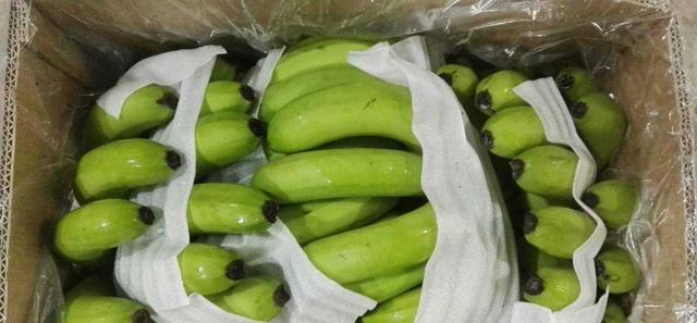 为何白血病屡见不鲜?“3菜、3鱼、3果”或含甲醛,请主动远离