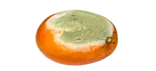 水果|这2种水果已经被拉入黑名单，再喜欢吃都要远离，别拿健康开玩笑