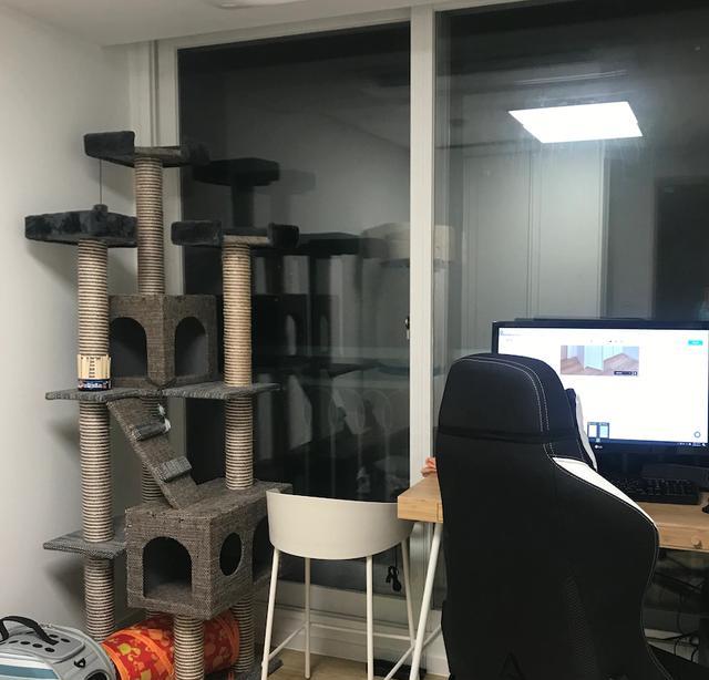 79装修不请设计师,90后小夫妻亲力亲为,干净温馨深受网友好评