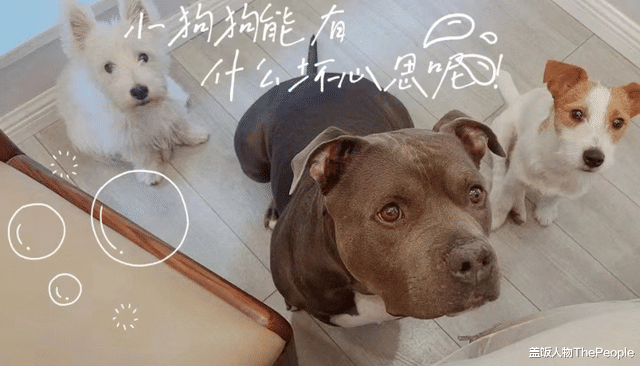 孕期|大瓜来了！出狱、私生子、孕期出轨、软饭男家暴、女星傍大导…