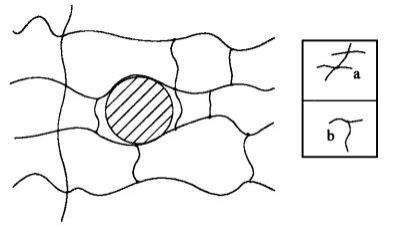 小白再度科普，什么是水凝胶材料！