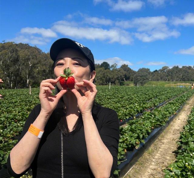 邓萃雯|邓萃雯晒澳洲生活靓照，农场摘草莓笑开怀，56岁冻龄有术仍未婚！