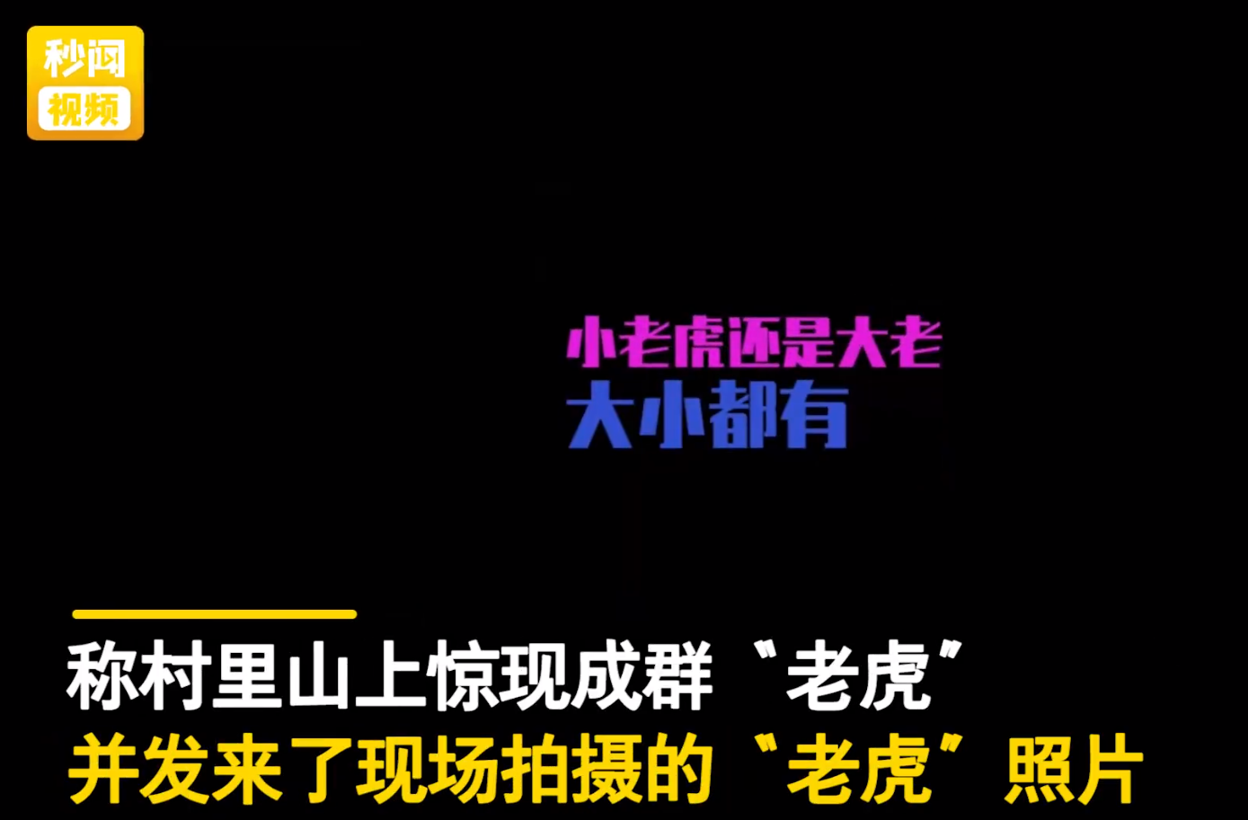村民:浙江临海山上惊现多只“老虎”!野生华南虎?真相是什么?