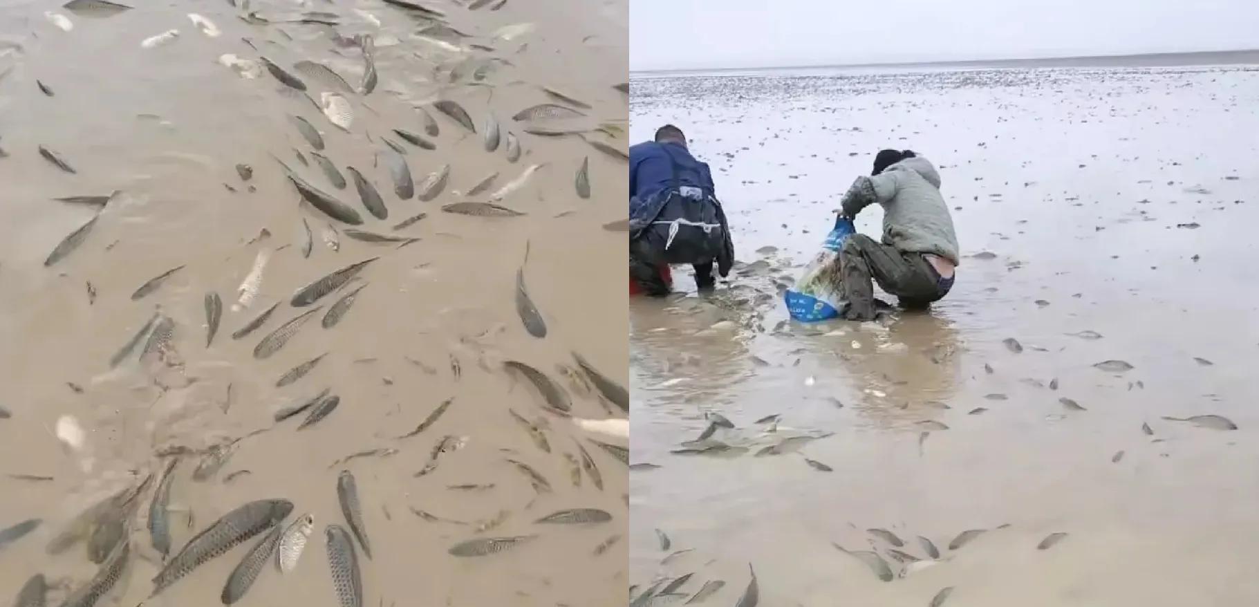鄱阳湖一年淤沙620万吨,枯水期泥沙见底,为何不大规模采砂?