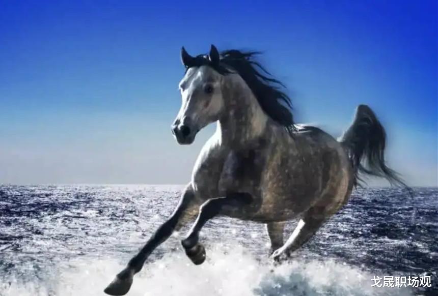 |别人能得到领导的赏识和器重,你为什么不行?差距就在这6点上