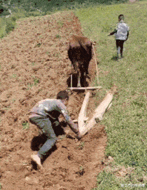|“想让沉迷游戏的老婆去上班,该怎么劝?”神点评绝了...