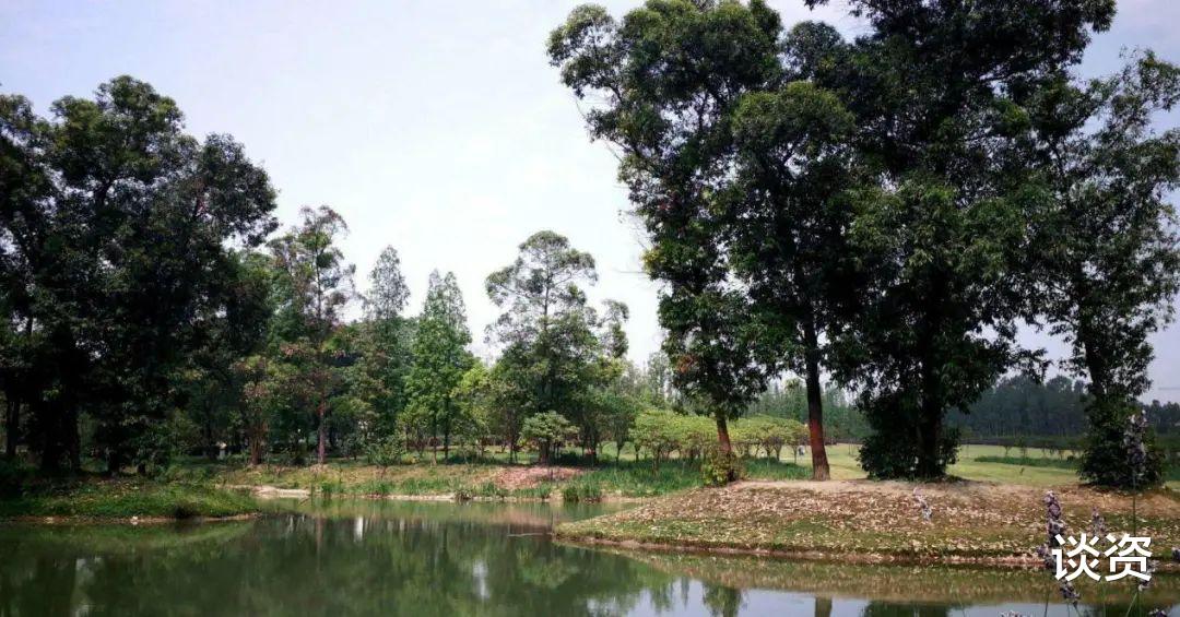 梅溪湖|西门新贵,会更偏爱什么地方?