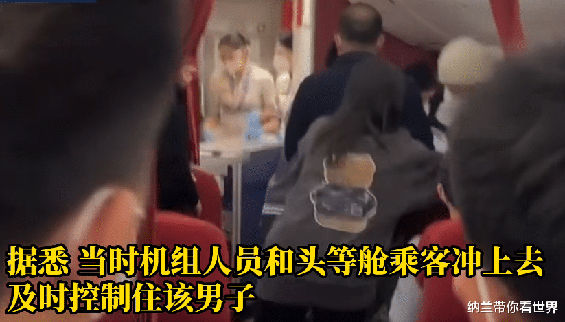 男子大喊:飞机要出事!他们是机器人!并冲向驾驶舱
