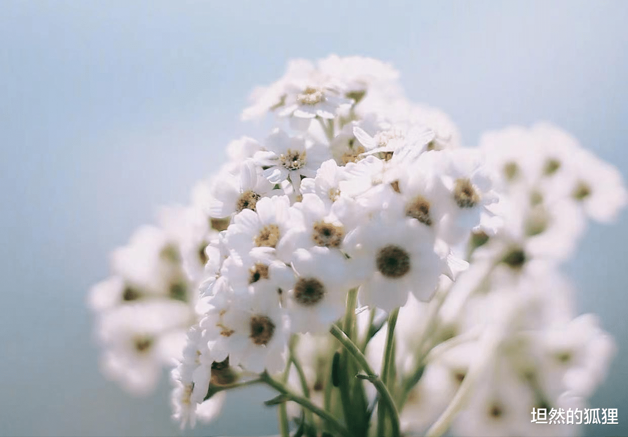 |职场里，这三个人，看似是好人，却为人最是虚伪