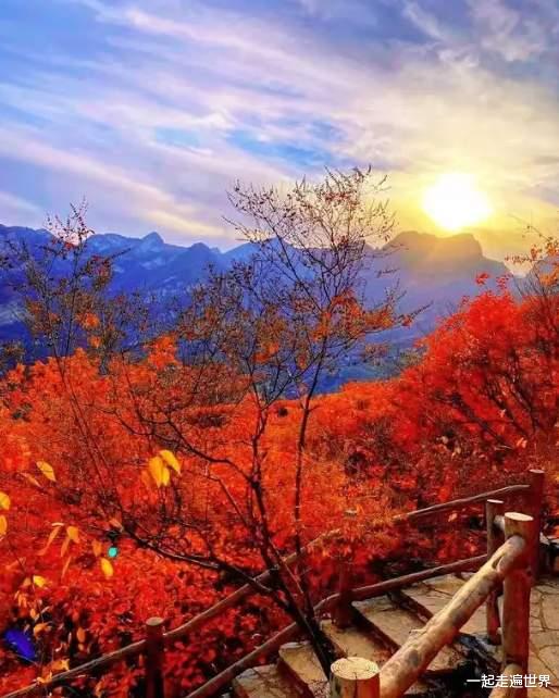 喀纳斯|中国四大最美秋色：2个在南方，2个在北方