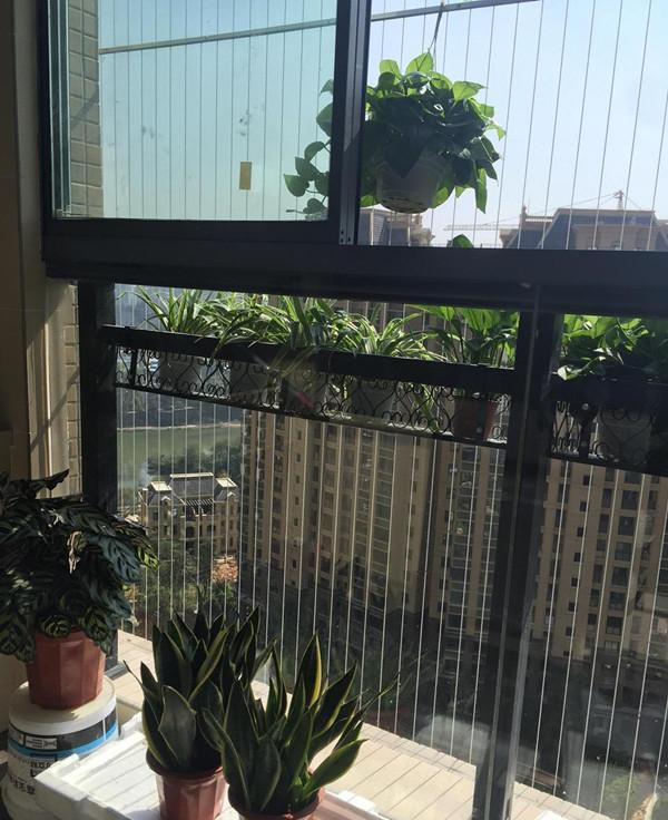 头一回见阳台防盗网这样装,太好看了,朋友看了竖起拇指点赞