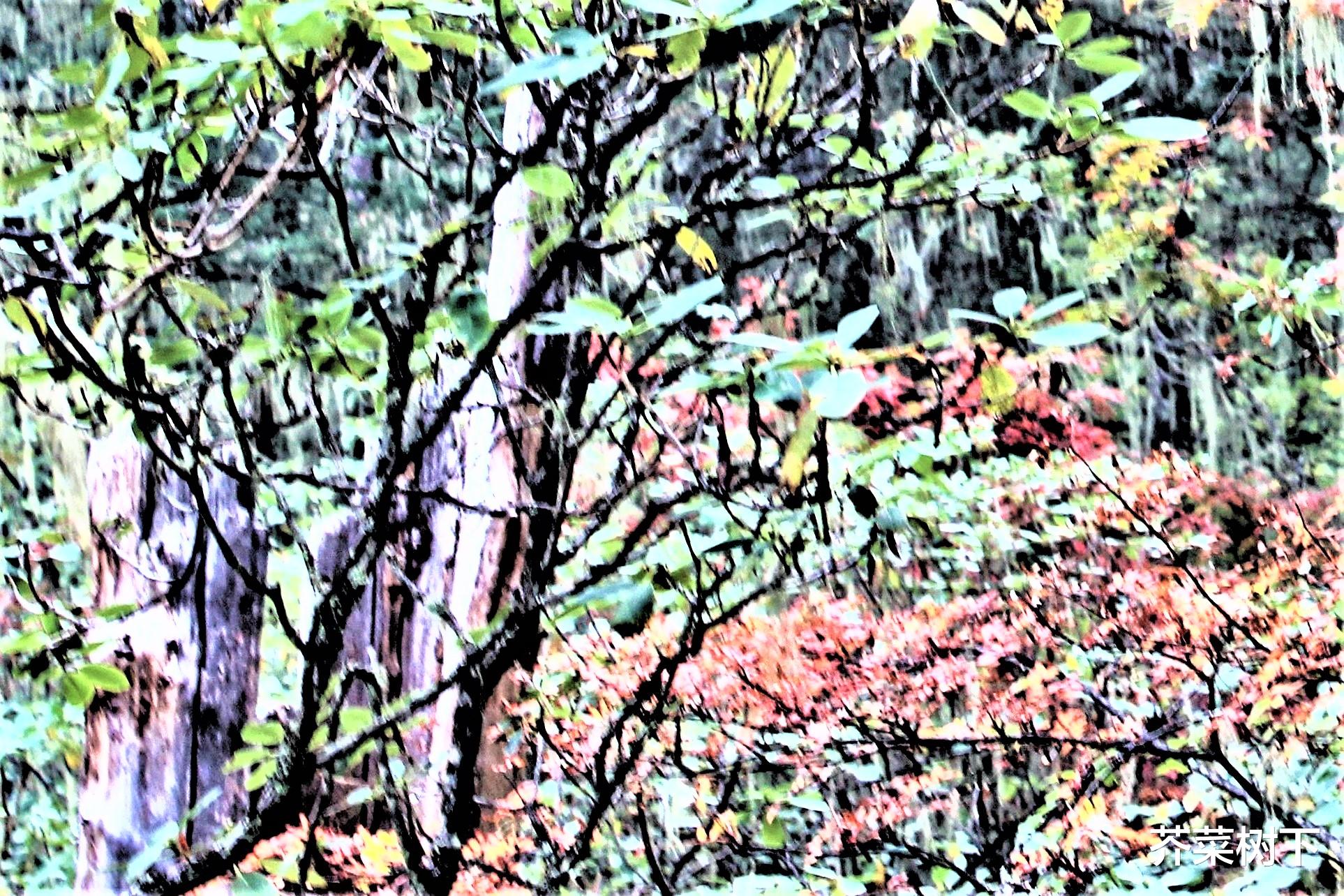 |职场太累,贵圈吃藕忍不下