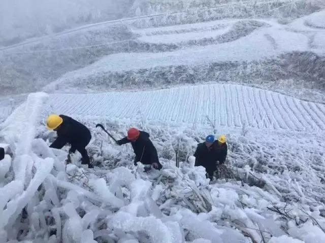 亚马逊|直播给乡村农产品带来了出路