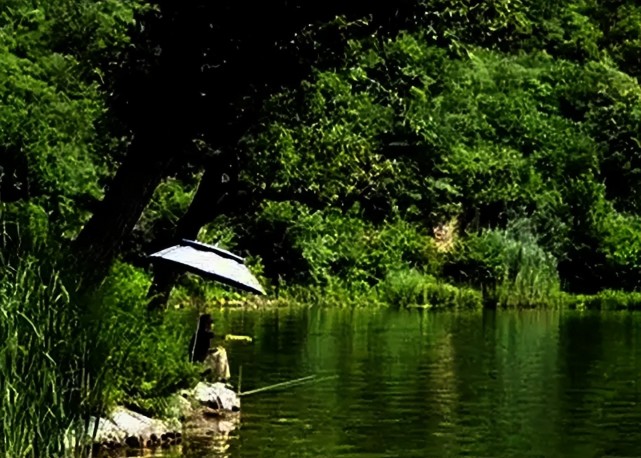 空军|夏钓常“空军”，还在只怪天气热？搞清楚这些重点，鱼获轻松拿捏