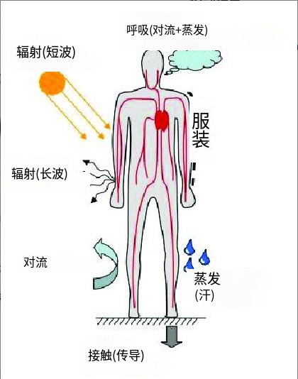 假如高温成为常态,人类耐高温的极限是多少?