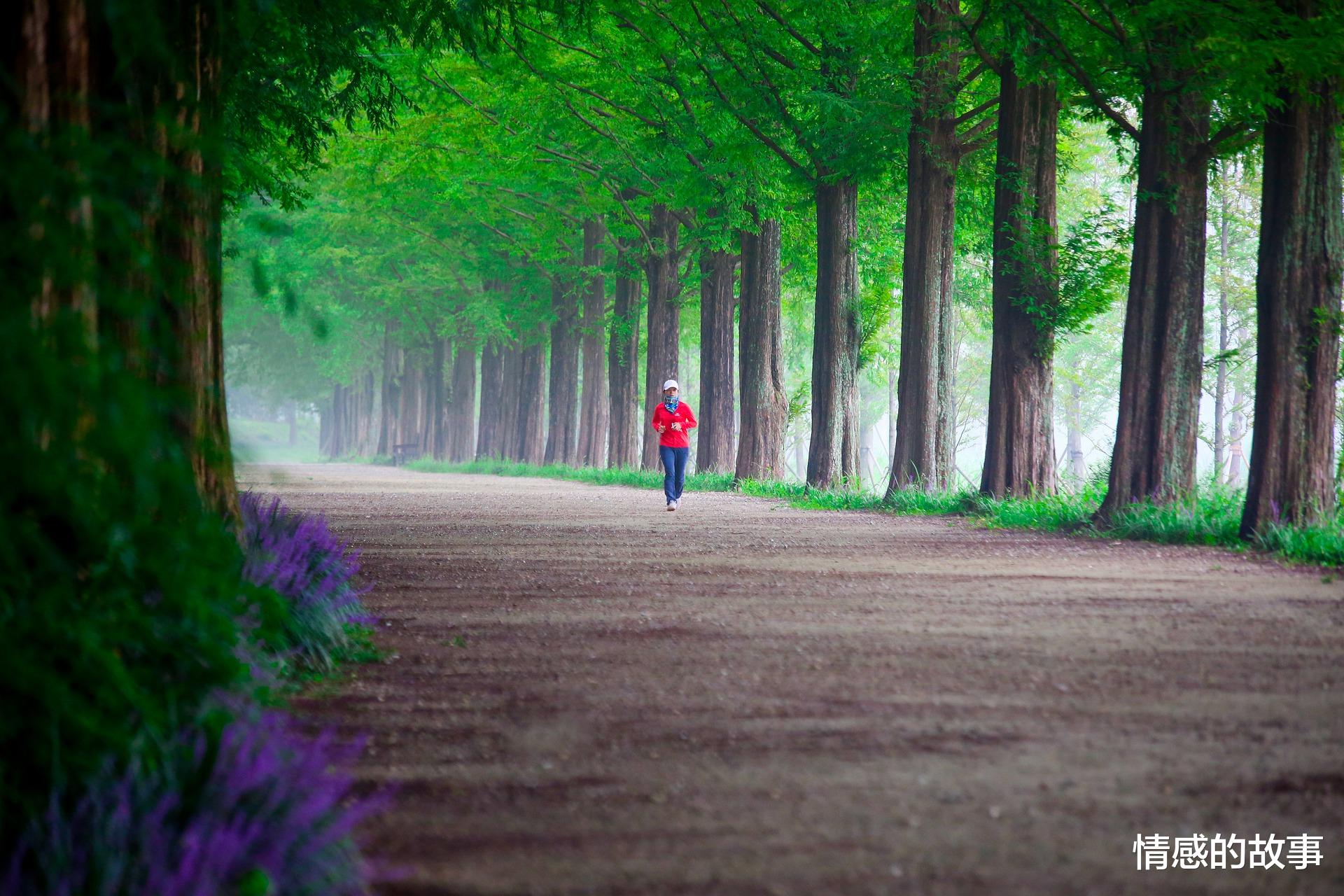 风光摄影的秘诀,你学会了吗