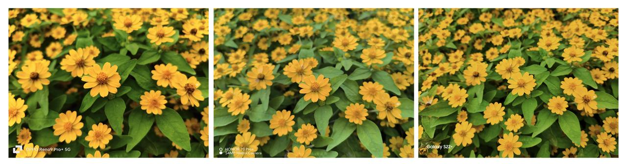 36氪|荣耀OPPO三星,哪款手机拍照让你更中意?