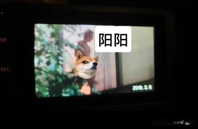 鹿晗|离谱!鹿晗被曝出轨孙嘉灵和宋妍霏,立深情人设,还与乔欣有关联