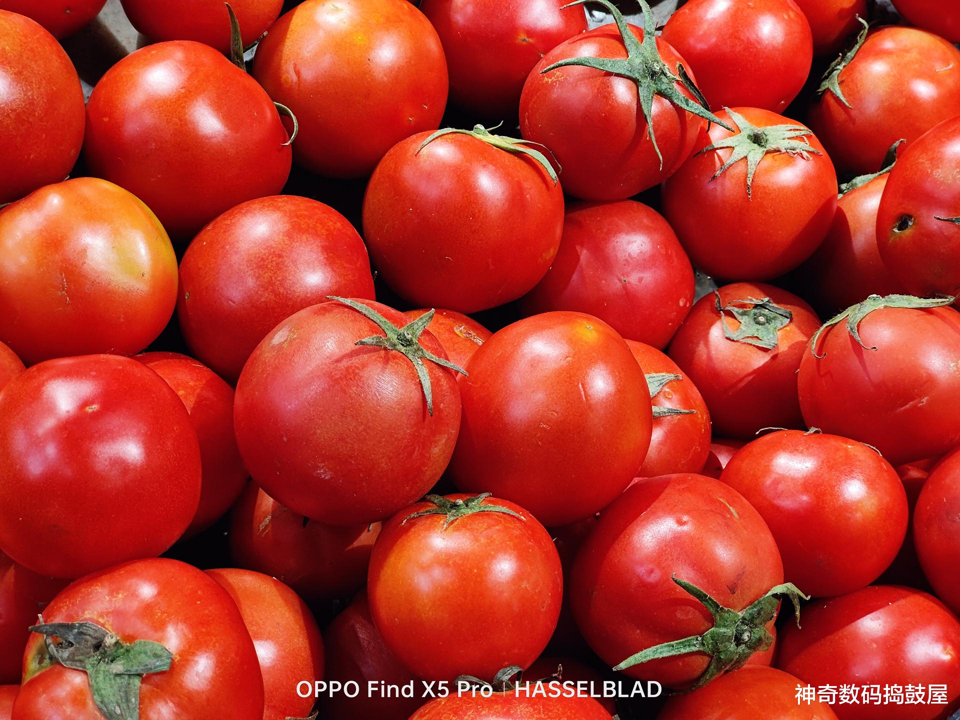 618活动,摄影实用周边有哪些值得入手的?我的摄影周边好物分享