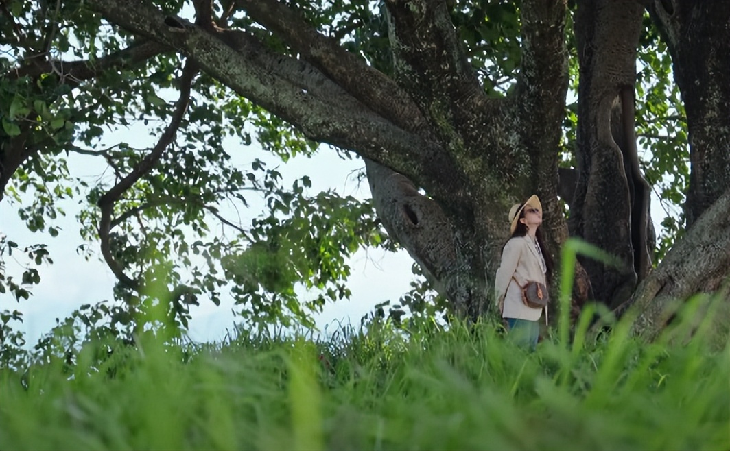 相声|刘亦菲新剧仅播2集,收视率第一!湖南卫视抓到“黑马剧”了