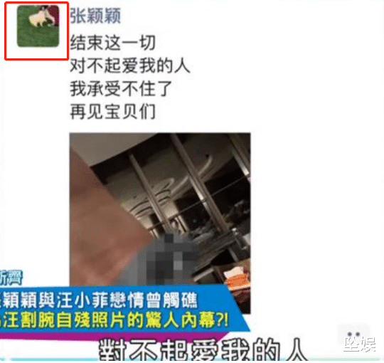 张颖颖|张颖颖走在台前，承认深夜陪汪小菲，狗仔曝女方闹轻生、互殴