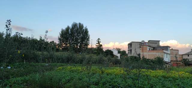 昭通|重走来时的路！云南昭通乐居镇周家口子村散步记