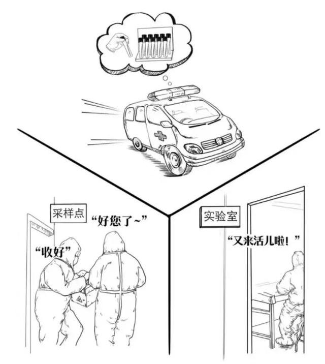 一份核酸检测报告的前世今生,你的核酸检测报告是这样来的