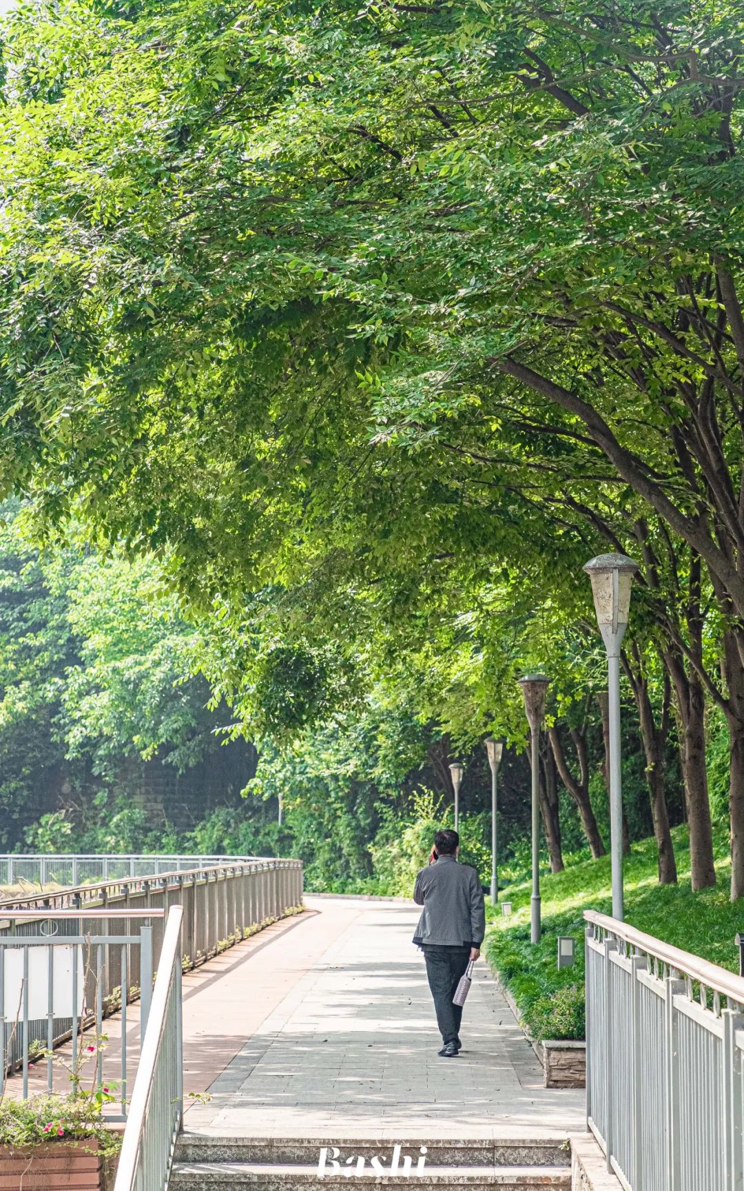 重庆|重庆新晋亲水步道，走起！
