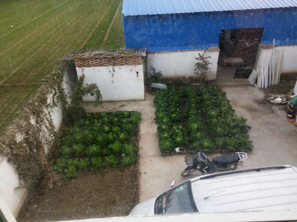 晒晒农村婆家的婚房,厨房超霸气,院里壁画大得吓人,你见过吗?