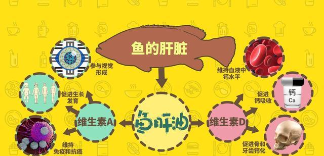 行走的油包:油鸱尽管吃素但因为太胖,常被捉来熬油