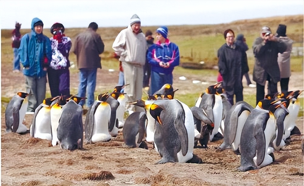 |走进“马岛”,带你看看“马岛”的真实现状