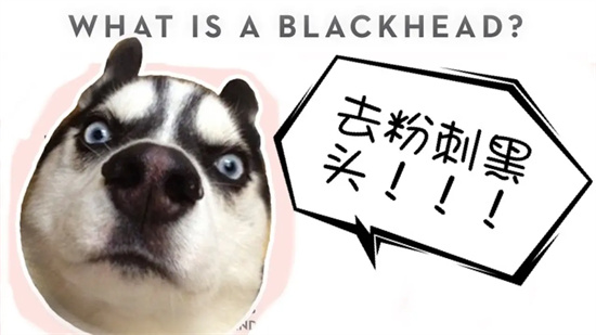 黑头 去粉刺黑头用什么护肤品效果好？有效的去粉刺去黑头产品排行榜