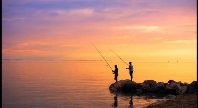 |夏花灼灼闲来垂钓