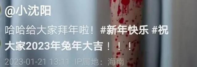 小沈阳|小沈阳三亚庆贺新年！头发稀疏险秃头，38岁沈春阳黑色内衣显得太尴尬