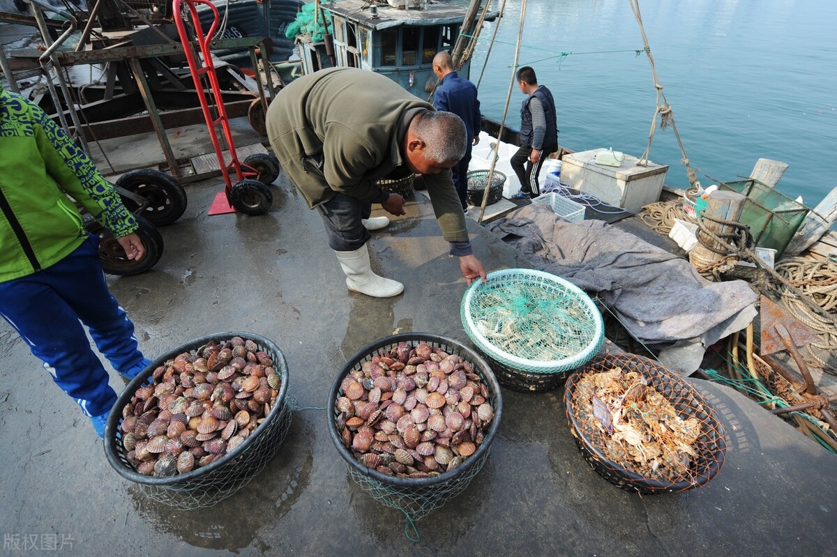 渔民|湛江渔民爆料，最赚钱的五个职业，有一个非常合适钓鱼人从事