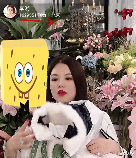 带货|明星带货大翻车,一件产品都没卖出,还被商家给联合举报,真是丢人丢到家了